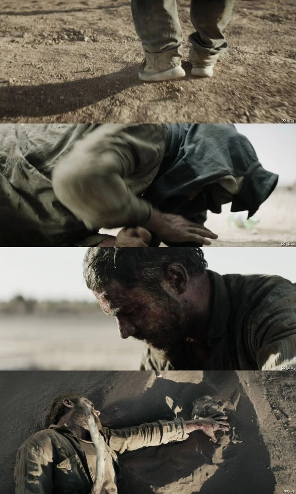 Gold 2022 Hindi English 1080p BluRay_s.jpg
