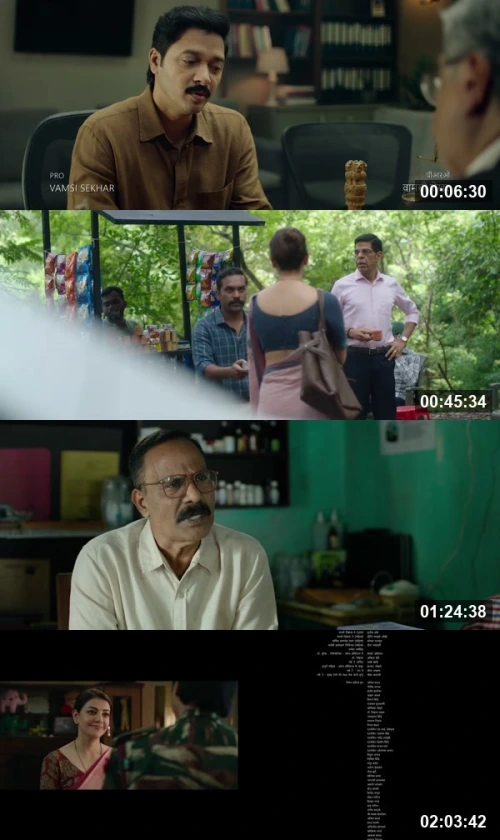 The India Story 2026 Hindi 1080p WEB-DL_screenshot747886.jpg