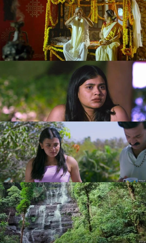 Honeymoon Express 2024 Hindi Telugu 1080p WEB-DL_s.jpg