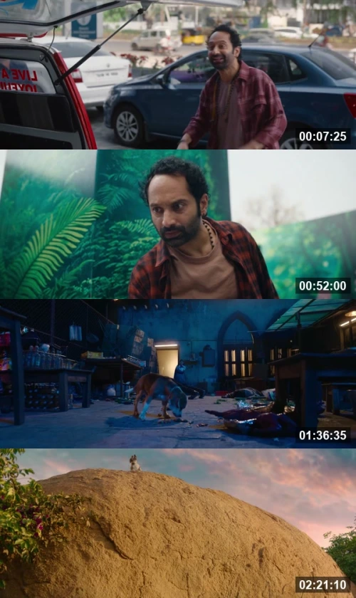 Don't Trouble the Trouble 2026 Hindi Telugu 1080p WEB-DL_screenshot307745.jpg