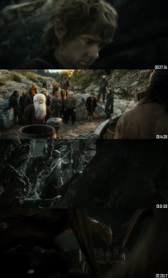 The Hobbit The Desolation Of Smaug 2013 BluRay 720p 480p Dual Audio Hindi English Full Movie Download