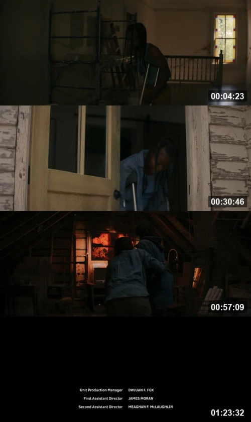 The woman in the Yard 2025 Hindi English 1080p BluRay_screenshot405259.jpg