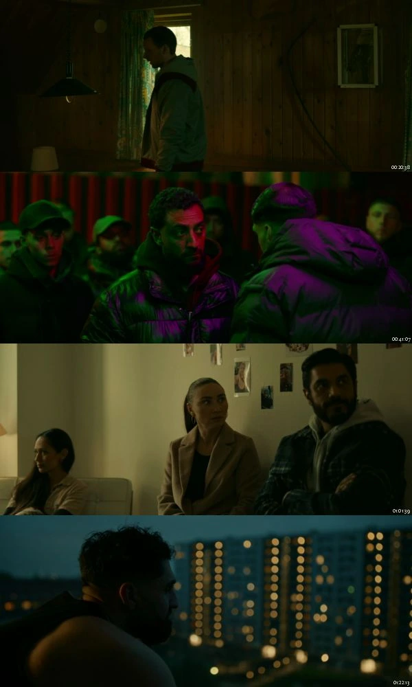 Crossing Lines 2025 Hindi Danish 1080p WEB-DL_s.jpg