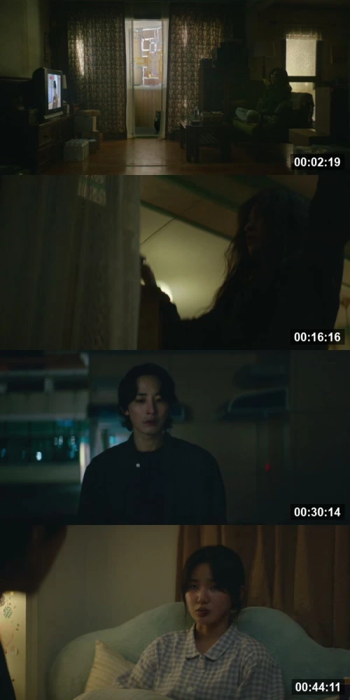 S Line S01E01 Hindi Korean 720p WEB-DL_screenshot807244.jpg