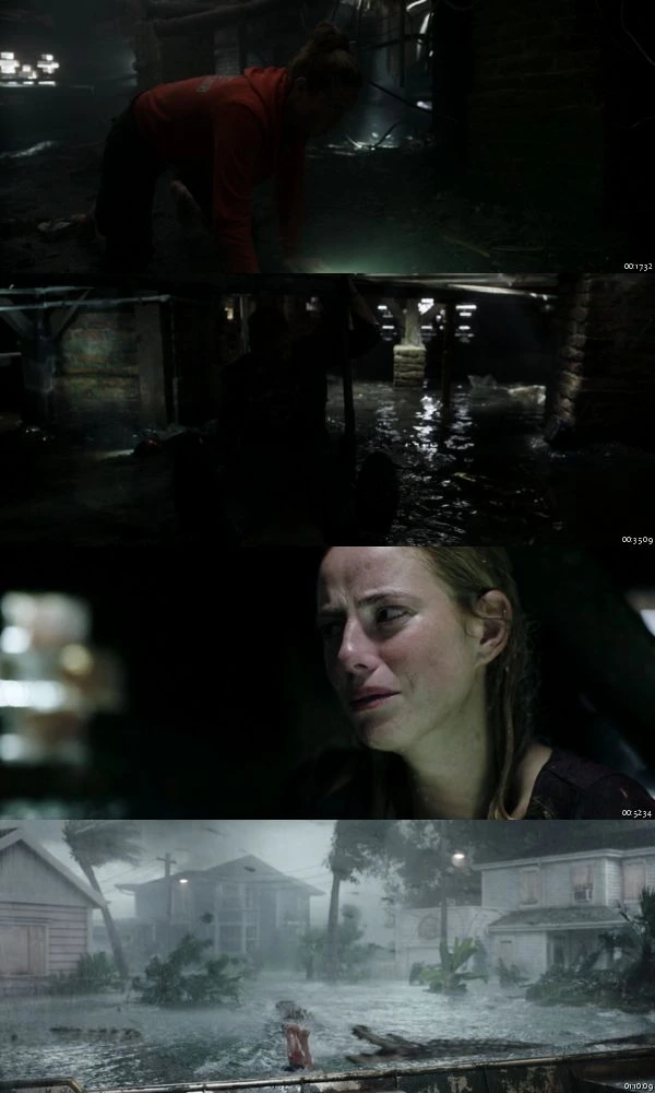 Crawl 2019 BluRay 1080p 720p 480p Dual Audio Hindi English Full Movie Download
