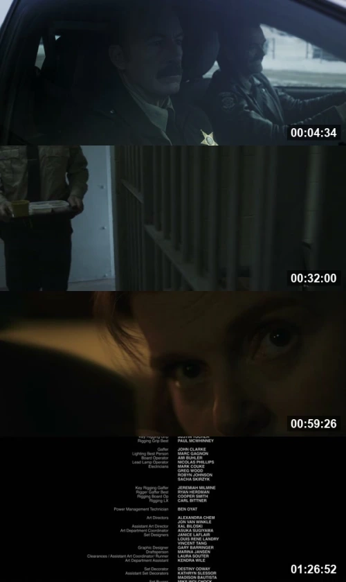Normal 2025 Hindi English 1080p BluRay_screenshot310082.jpg