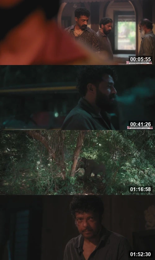 Kattalan 2026 Hindi Malayalam 1080p WEB-DL_screenshot311840.jpg