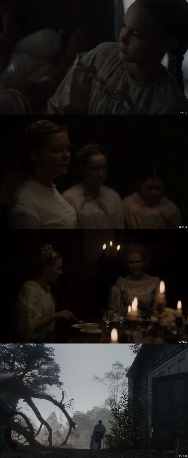 The Beguiled 2017 BluRay 1080p 720p 480p Dual Audio Hindi English Full Movie Download