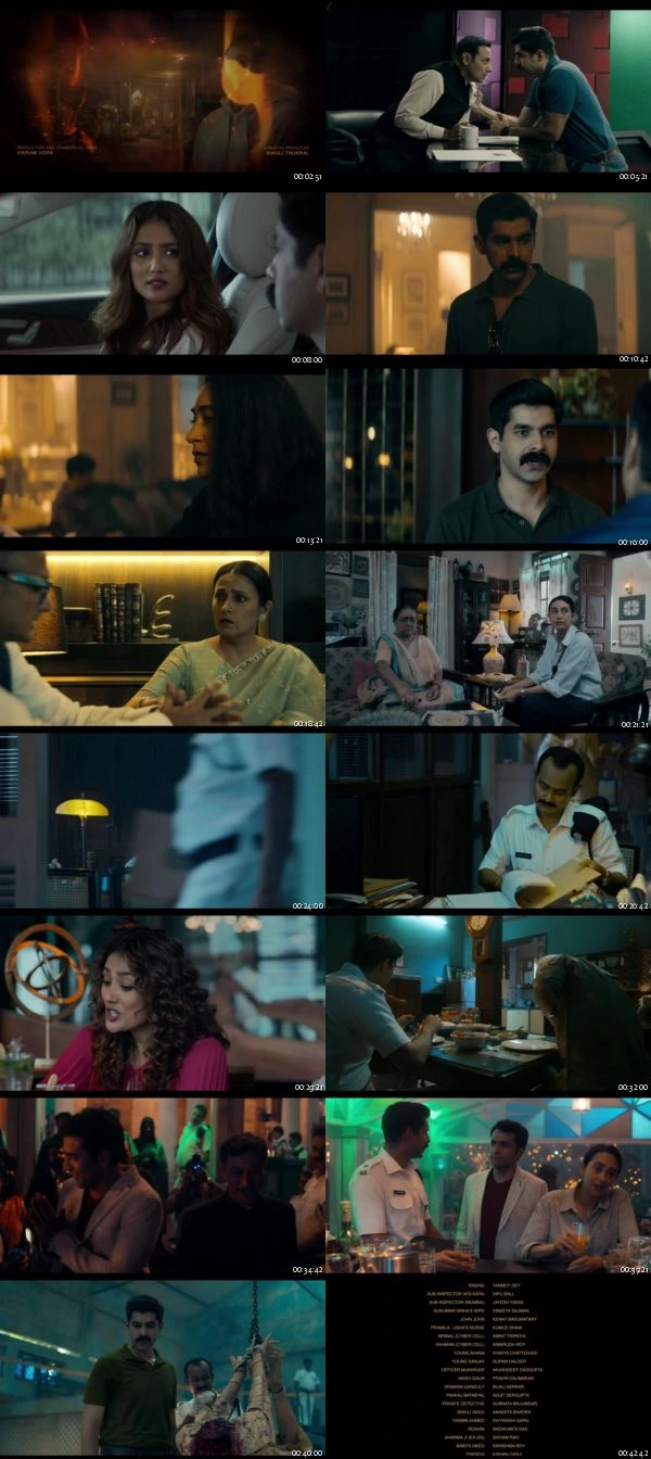 Brown S01 Hindi WEB Series 720p 480p WEB-DL
