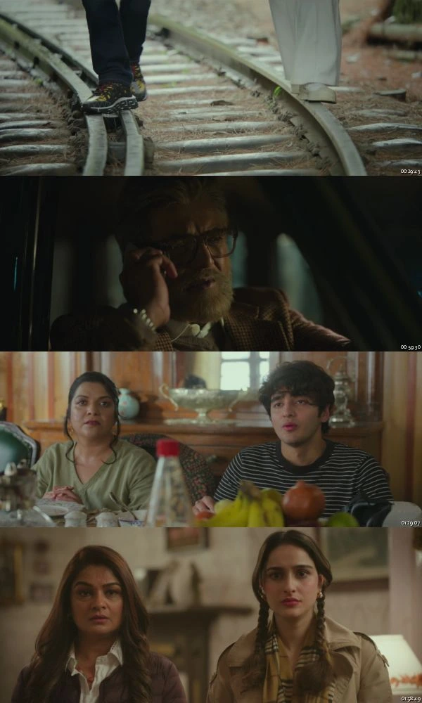 Daadi Ki Shaadi 2026 WEB-DL 1080p 720p 480p Hindi Full Movie Download