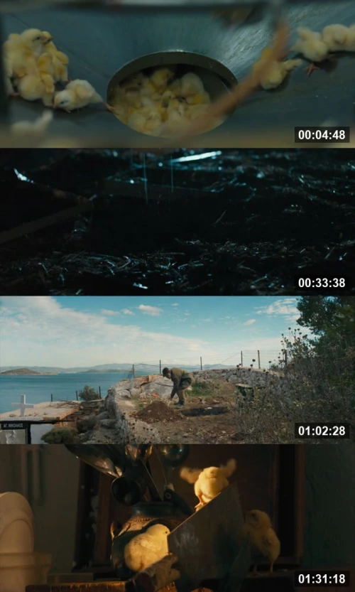 Hen 2026 Hindi Ssrmovies.Com 1080p WEB-DL_screenshot517473.jpg