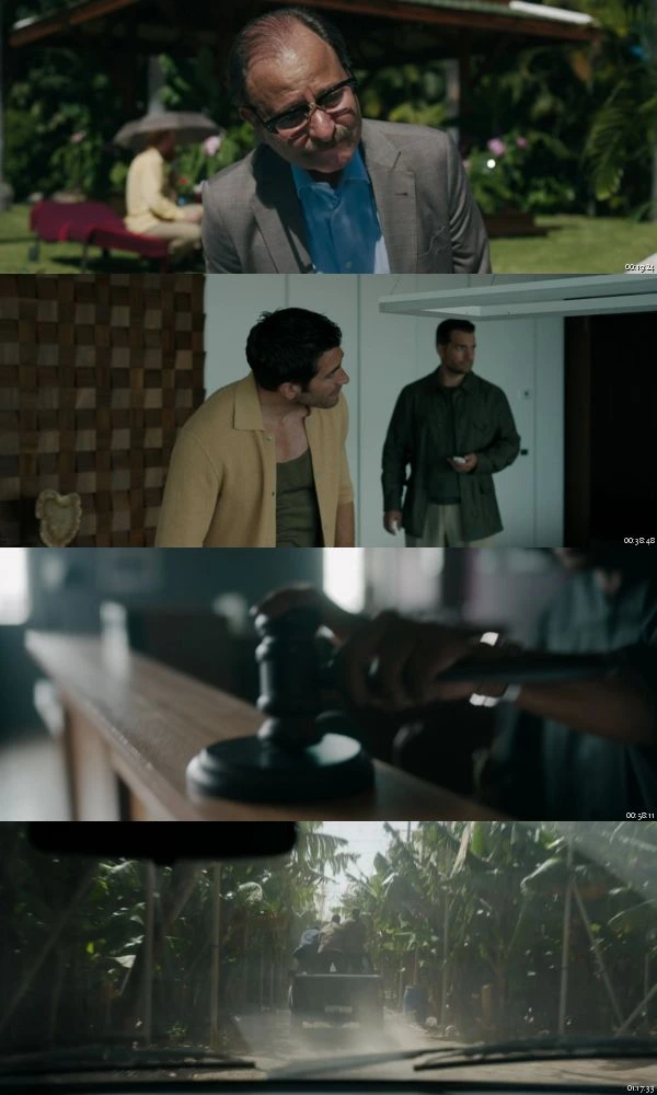 In The Grey 2026 Hindi English 1080p BluRay_s.jpg