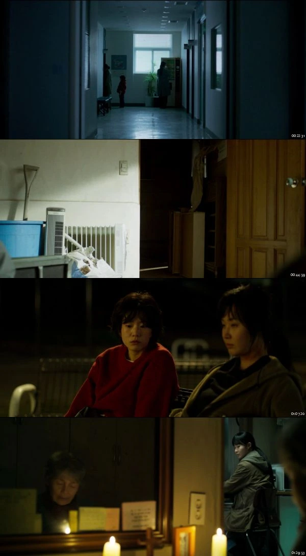 Somebody 2025 Hindi Korean 1080p WEB-DL_s.jpg